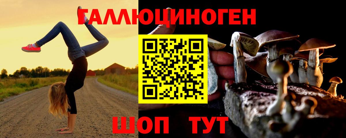 Псилоцибиновые грибы Cubensis  Вход с VPN  где купить   Ростов Великий 